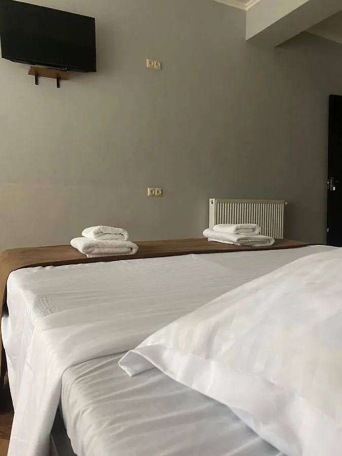 تبليسي Hotel Saburtalo Roni 0*,